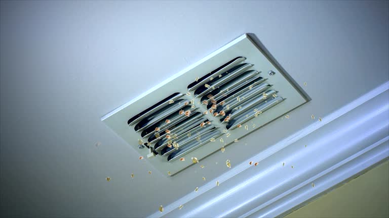 Best HVAC System Cleaning  in Rosedale, MD